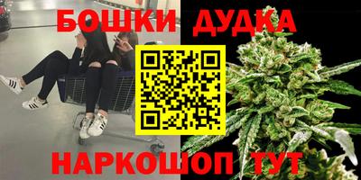 PSILOCYBIN Нарткала