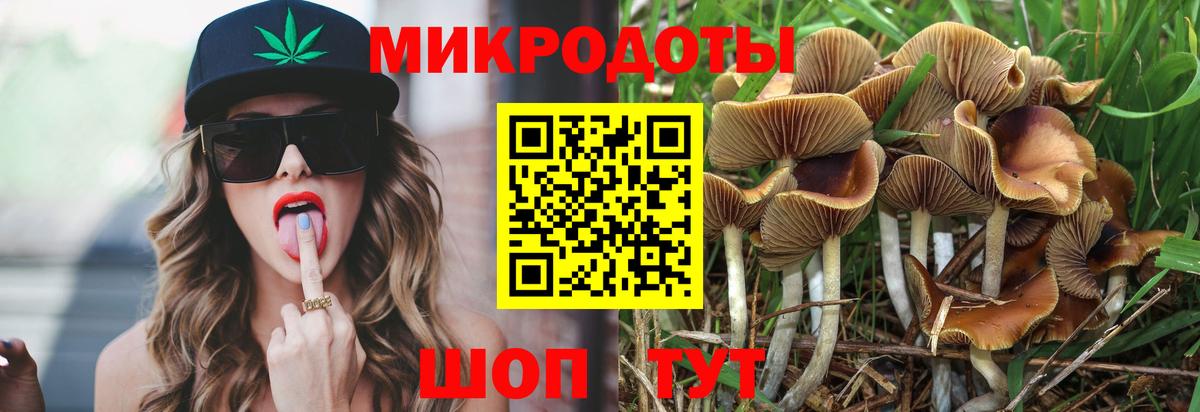 Псилоцибиновые грибы GOLDEN TEACHER  Вход с VPN  Фурманов 